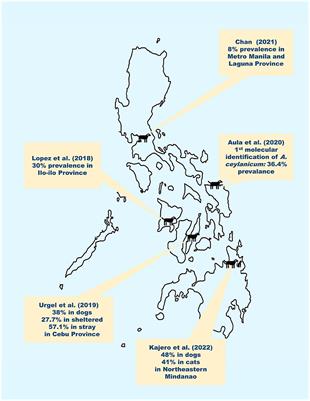 Canine hookworms in the Philippines—Very common but very much neglected in veterinary research